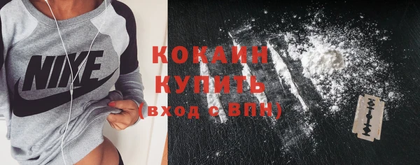 стаф Вяземский