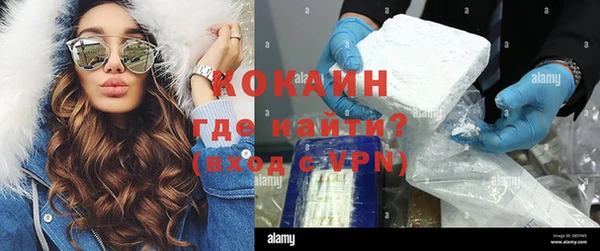 сатива Володарск