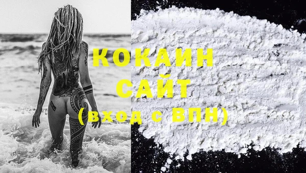 стаф Вяземский